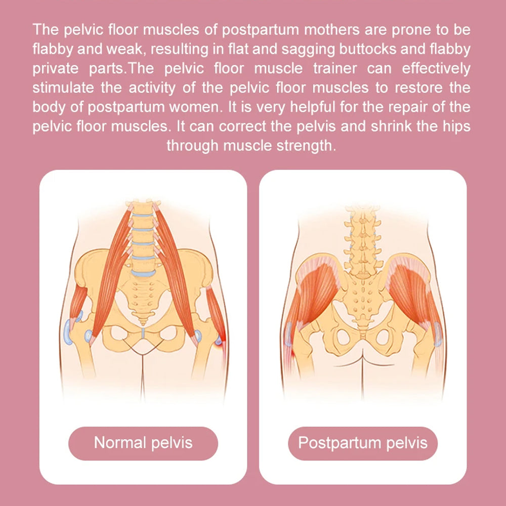 Pelvic Floor Muscle and Inner Thigh Trainer