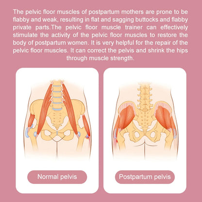 Pelvic Floor Muscle and Inner Thigh Trainer